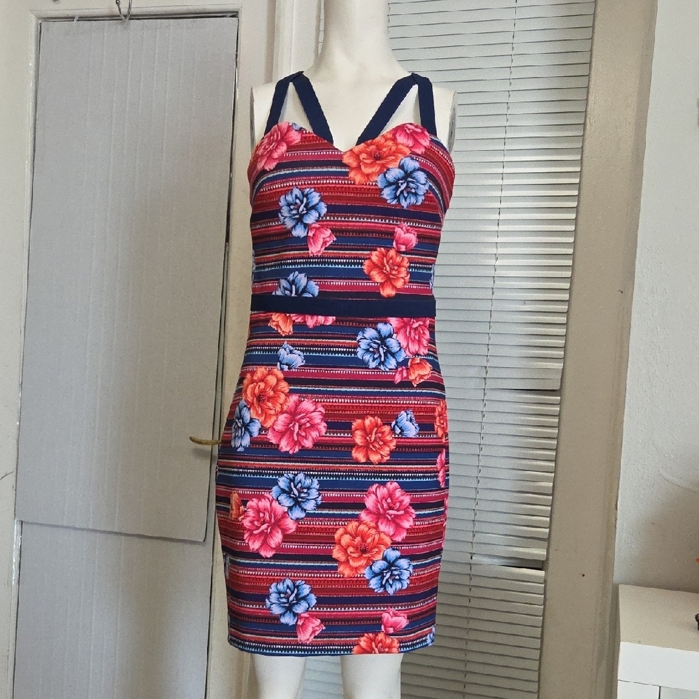 Sleeveless Floral Striped Bodycon Dress - GUESS Sz 8 New W Tag